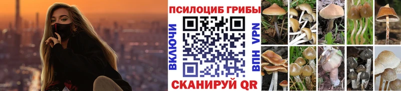 Галлюциногенные грибы GOLDEN TEACHER  Моршанск 